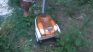 ловля шершней пылесосом hornets and vacuum cleaner