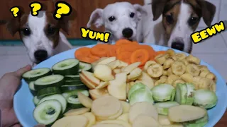 MY DOGS EAT VEGGIES AND FRUITS CHALLENGE