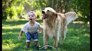 Golden Retriever Protecting and Playing Babies & Kids -  Dog and Baby COmpilation