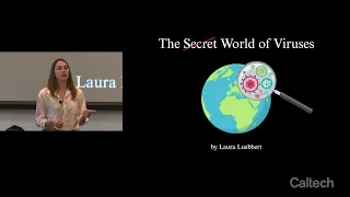 Laura Luebbert - Three Minute Thesis - 4/18/2024