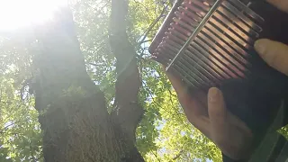 The Untamed Luan Po Chao (Kalimba Cover)