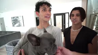 Lucas and Marcus! SNEAKING Into The Royalty Family House! CAUGHT