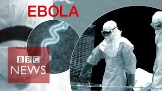 Ebola Virus: Third victim dies in Nigeria - BBC News