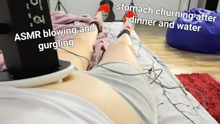 ASMR stomach churning after dinner and water