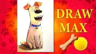 Draw Max / The Secret Life of Pets / Рисунок Макса / Тайная жизнь домашних животных