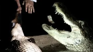 Alligator Death Roll in Super Slow Motion | Earth Unplugged