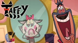 Taffy 🐱 Taffy gets a makeover from Adi! | cartoons for kids