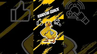 random Quack may 4 2024