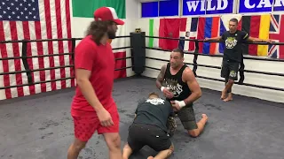 FABRICIO WERDUM TEACHS JORGE MASVIDAL