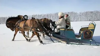 Павел Украинцев - "Живёт моя отрада"