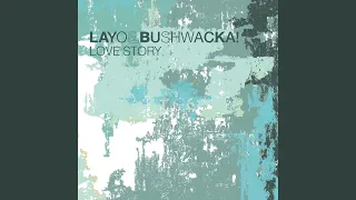 Love Story (Bushwacka! Remix)