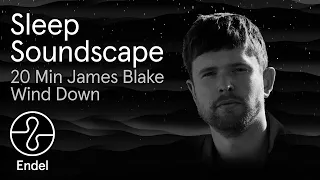 Sleep: 20 min of James Blake's Wind Down Soundscape | @EndelSound