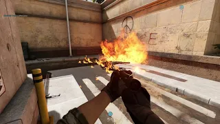 Insurgency Sandstorm: Molotov Mania