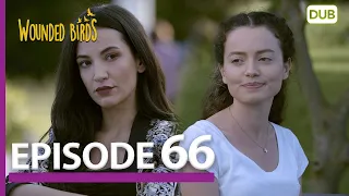 Wounded Birds Episode 66 - Urdu Dubbed | Turkish Drama