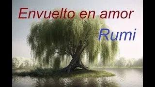 Rumi - Envuelto en amor