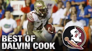 FSU's Dalvin Cook's Best Plays vs. Florida
