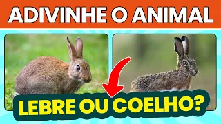 QUAL É O ANIMAL? | Adivinhe 20 pares de animais parecidos