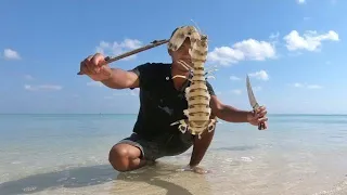 Hunting on tropical island fishing mantis shrimp and Catch Blue Crabs
