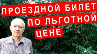 Что нужно для покупки проездного билета по льготной цене на сентябрь 2022 в Германии?