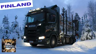 Timber Truck Veikko | Holzlaster in Finnland unterwegs auf verschneiten Strassen | Februar 2021
