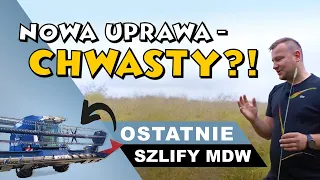 ODPORNOŚĆ CHWASTÓW ➕ KOMBAJN OSTATNIE SZLIFY (MDW 527)