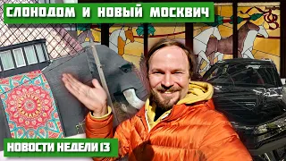 Электросамокаты отменят? Центральный Московский ипподром закроют