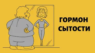 Почему толстые люди много едят. Гормон сытости - ЛЕПТИН. Лептинорезистентность и похудение. Аппетит.