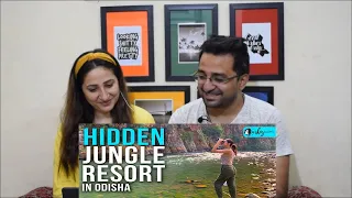 Pakistani Reacts to We Visited Aranya Niwas- A Resort Inside A Jungle In Odisha | Curly Tales