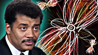 A Brief History of Everything, feat. Neil deGrasse Tyson