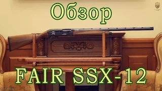 Обзор FAIR SSX-12