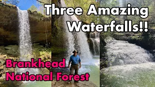 Three Beautiful Bankhead National Forest Waterfalls!