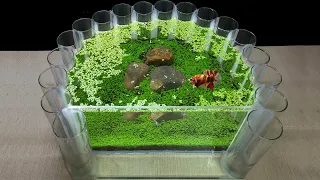 How To Make Mini Aquarium Fish Tank Decoration Ideas  Amazing DIY Nano Aquascape Planted No Co2 #158