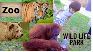 The Zoo Wild Life Park in Umm Al Quwain | Must Visit Place in UAE|