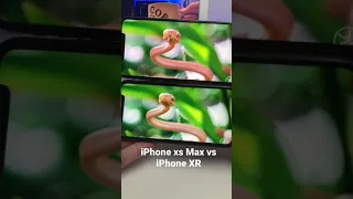 iPhone xs Max vs IPhone XR