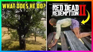 What Happens If You Get Inside Of The Devil's Treehouse In Red Dead Redemption 2? (RDR2)