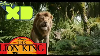 The Lion King (2019) Hakuna Matata (Hindi Song Teaser) 1994 Version Clip