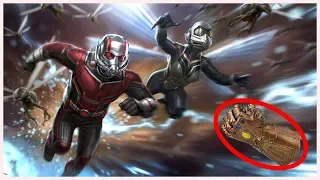 Avengers 4 Related Post Credit Scenes in Ant-Man and The Wasp