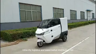 Electric Cargo Van