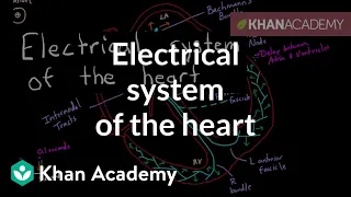 Electrical system of the heart | Circulatory system physiology | NCLEX-RN | Khan Academy