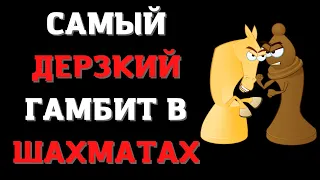 Самый дерзкий гамбит в шахматах | Ловушки в Северном гамбите