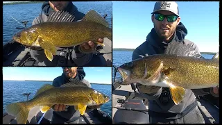 CRUSHING BIG Early Summer Walleyes!