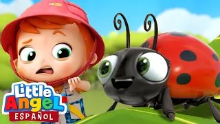 Canción Infantil de los Insectos 🐛🐜🐞 | Bebé Juan | Little Angel Español