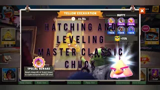 Angry Birds Evolution: Hatching & Leveling Master Classic Chuck