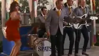 The Spats - She Kissed Me Last Night (T.V. cameo, frat rock)