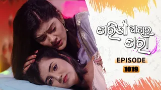 Tarini Akhira Tara | Full Ep 1019 | 10th May 2021 | Odia Serial – TarangTV