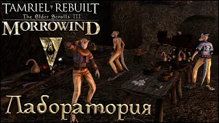 Morrowind Tamriel Rebuilt - Лаборатория, #196 (258)