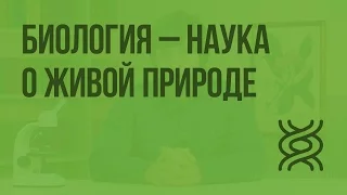 Биология — наука о живой природе. Видеоурок по биологии 5 класс