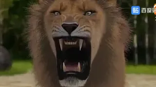 Lion Vs Tiger (animation)