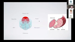 Fionn MacPartlin- Principles of Loading During Muscle Rehabilitation