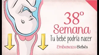 SEMANA 38 de #Embarazo | 9º Mes | Semana a semana